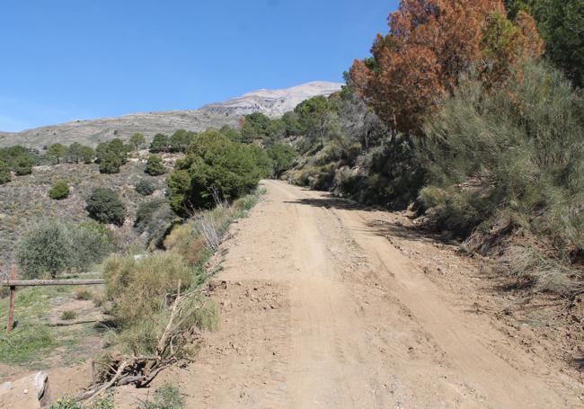 Carril que parte desde el área recreativa de Sedella.