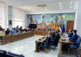 Momento de la votación en el pleno.