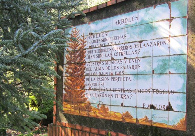 Un poema de García Lorca aguarda en el corazón de este pinsapar.