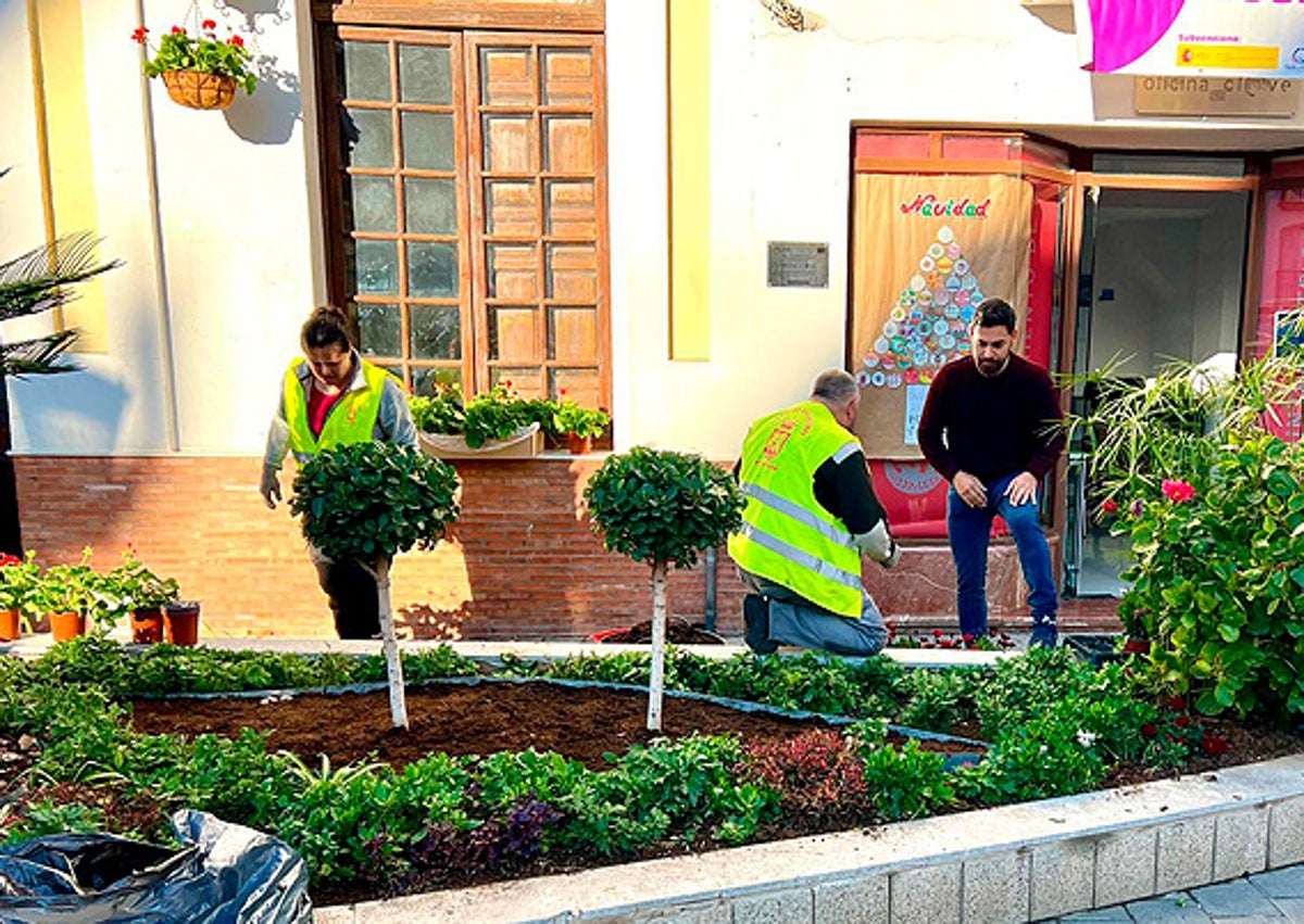 Imagen secundaria 1 - Varias zonas del municipio con las diferentes flores plantadas.