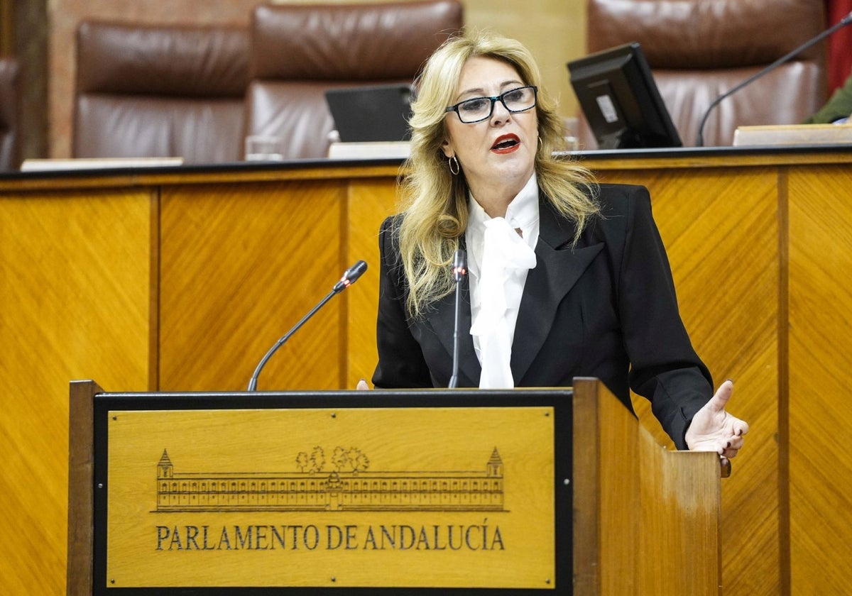 Carolina España, durante su intervención.