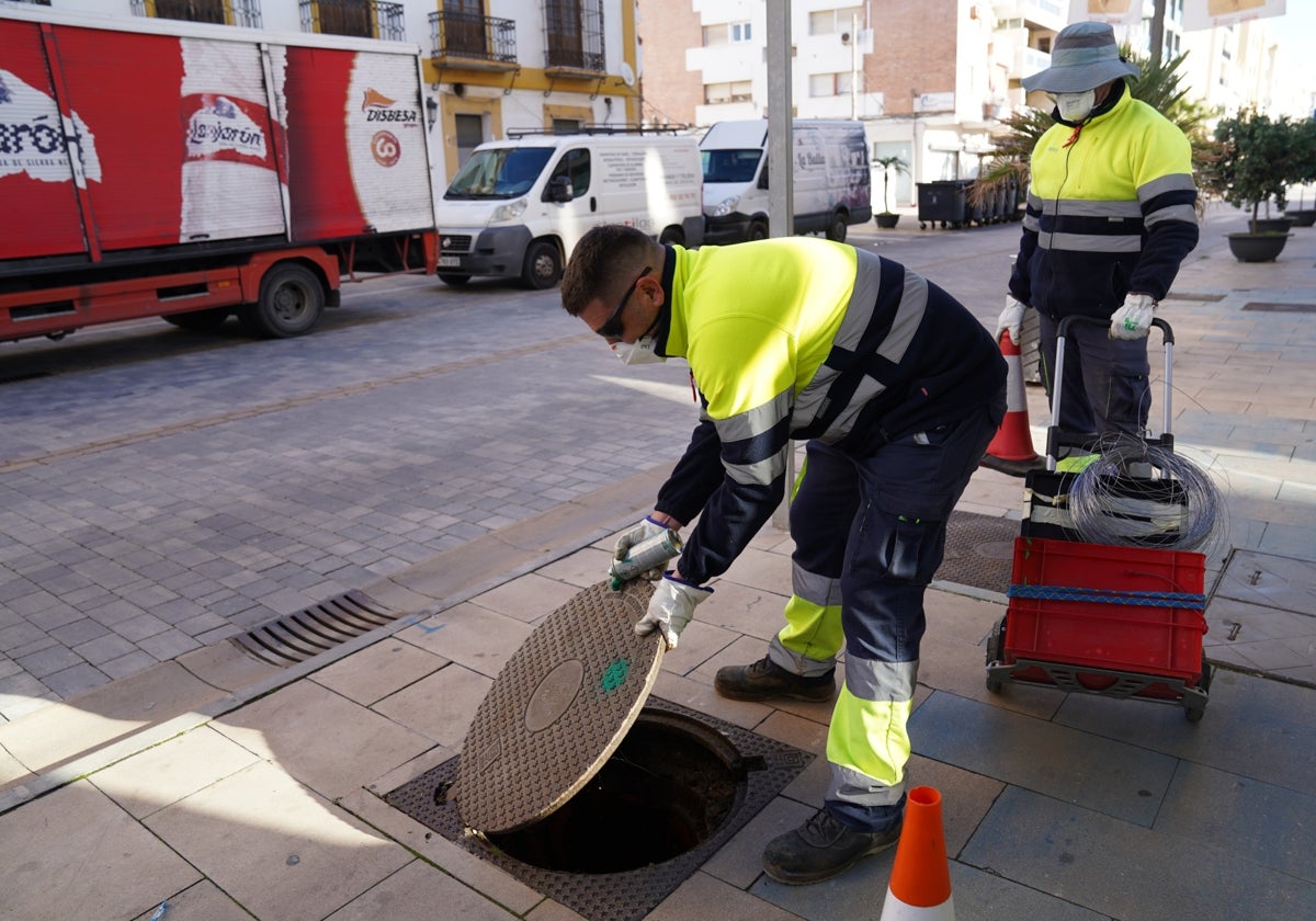 Los operarios en las labores de desinsectación y desratización.