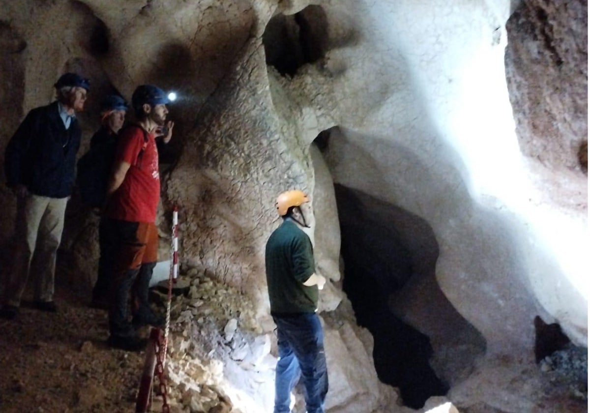 Visita a las cuevas de Rincón de la Victoria.