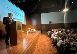 Salado durante su intervención.