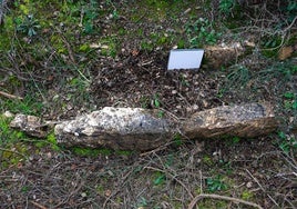 Pese a la maleza, las dos líneas paralelas de piedras marcan el estrecho espacio para un enterramiento.