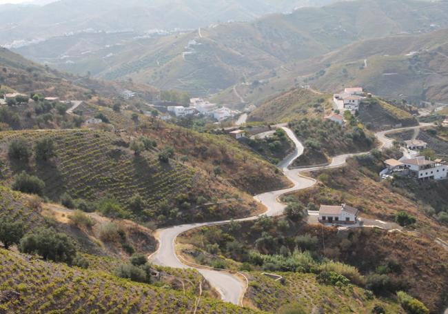 Nexos. Tramo de la sinuosa carretera que une en la actualidad a El Borge con Cútar.