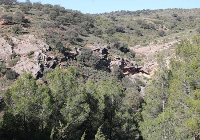 Pequeña garganta ubicada en la zona conocida como Siete Pozos, accesible por una ruta de senderismo