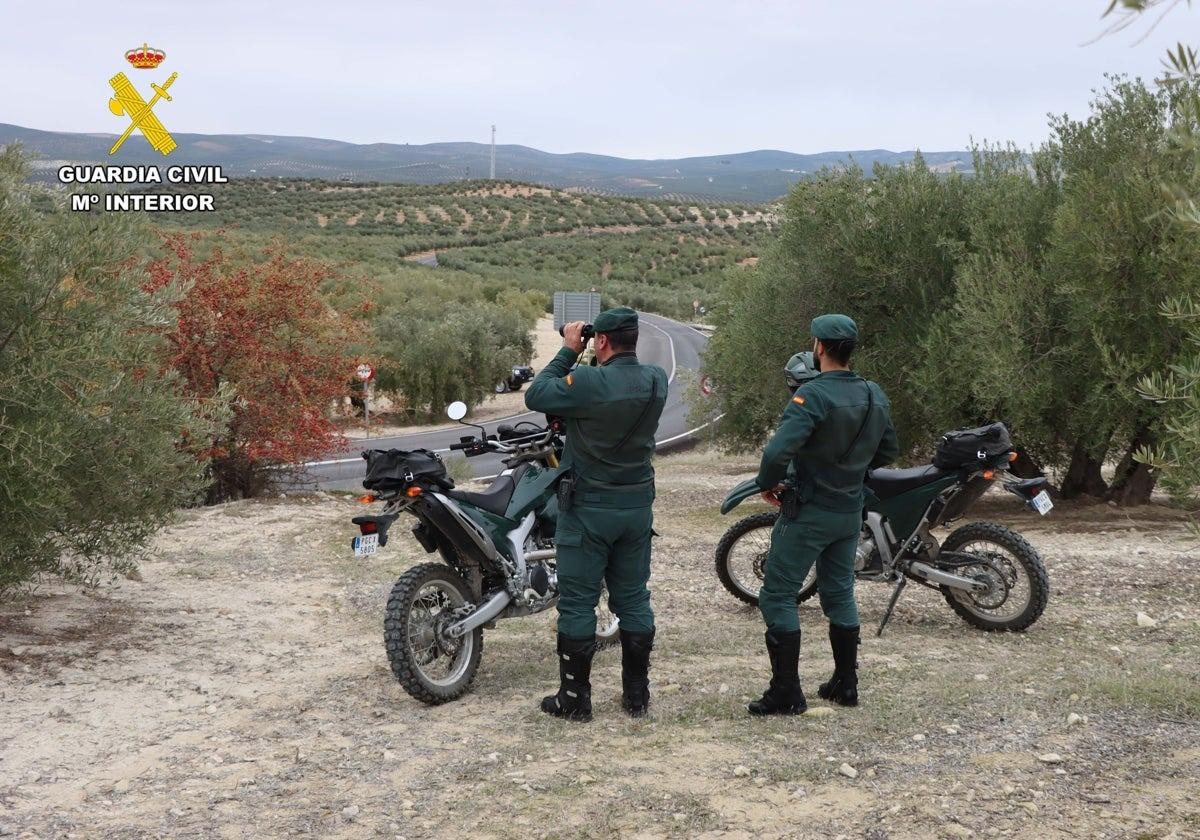 Imagen de archivo de agentes del Seprona.