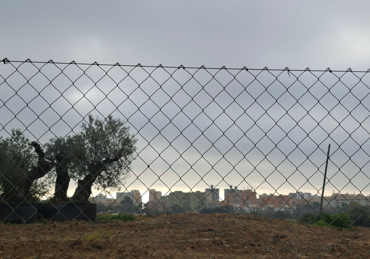 Terrenos donde se han realizado los trabajos.