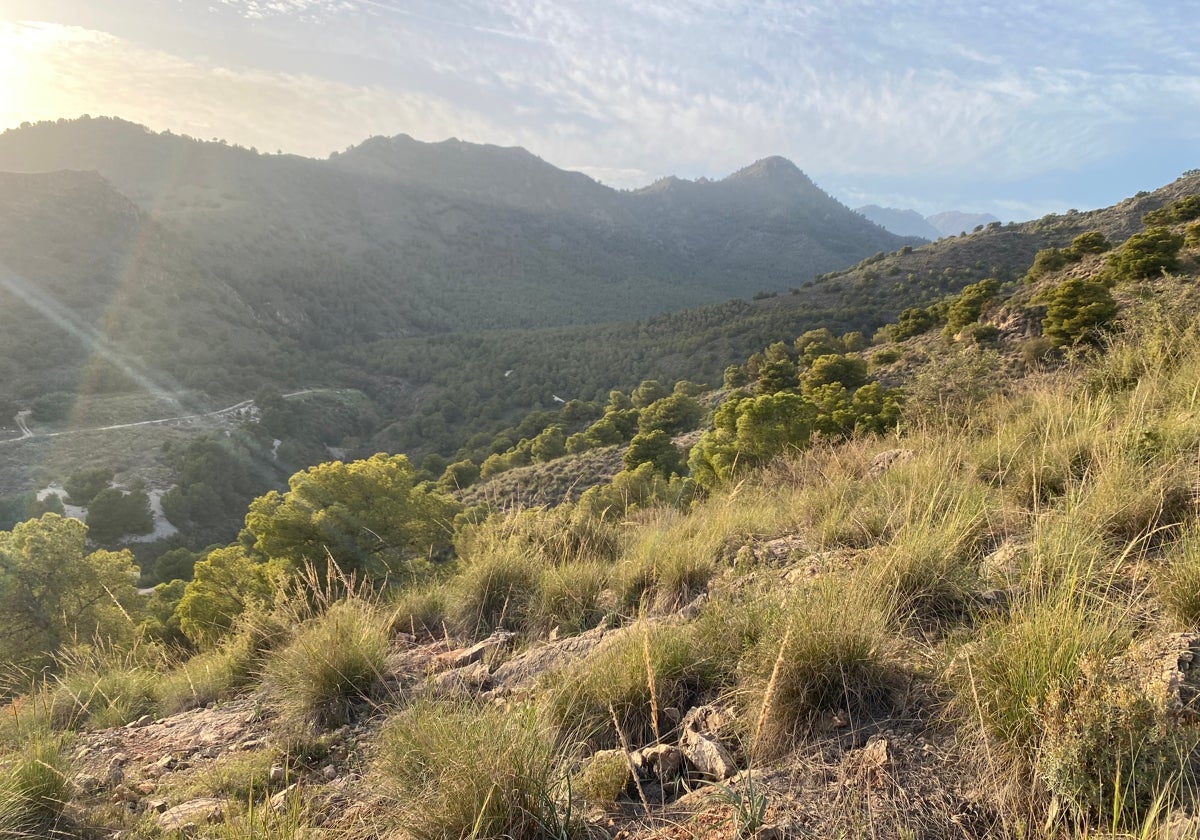 Vista panorámica del Barranco de La Coladilla de Nerja.