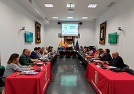 Sesión del pleno municipal donde se aprobaron los presupuestos.