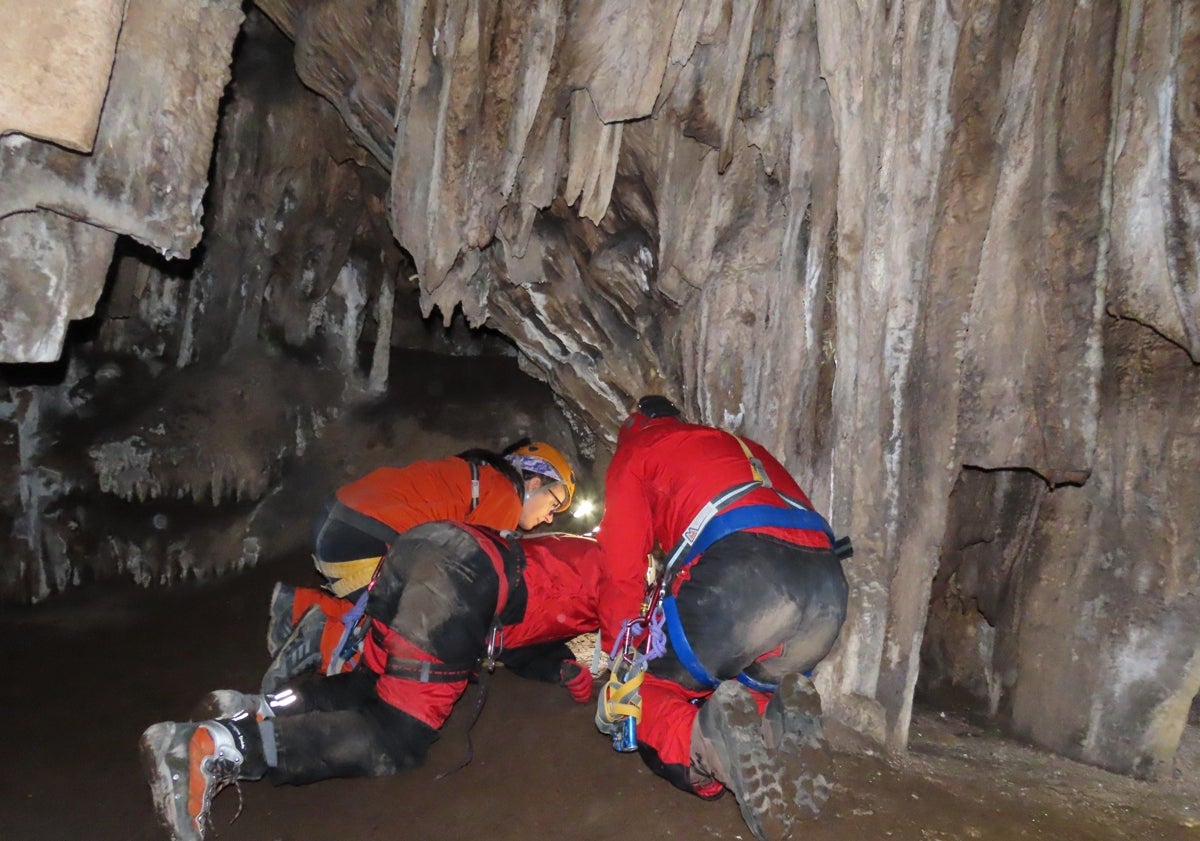 Imagen principal - Arriba, los investigadores, en pleno trabajo de búsqueda y catalogación del diminuto animal, y debajo a la izquierda y a la derecha, sendas imágenes del nuevo arácnido descubierto en la Cueva de Nerja.