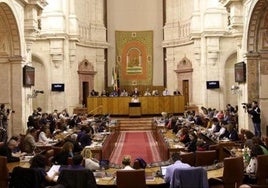 El Parlamento de Andalucía tramita la iniciativa legislativa sobre sanidad de las Mareas Blancas