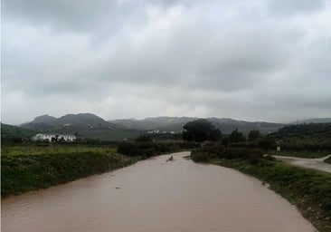 Así bajan los cauces de Málaga tras las lluvias: Genal y Grande en nivel amarillo