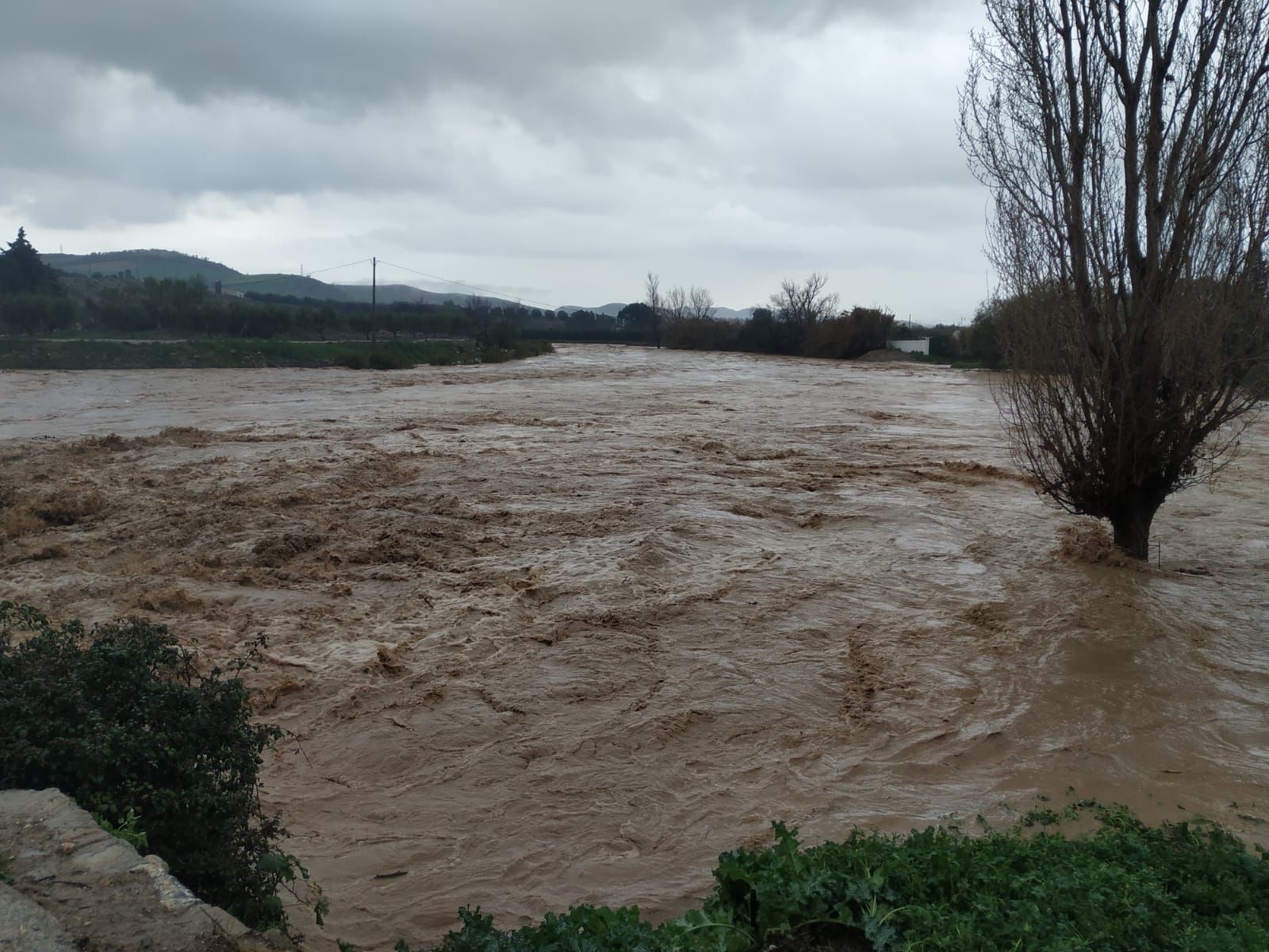 Así están afectando las fuertes lluvias al interior de la provincia de Málaga