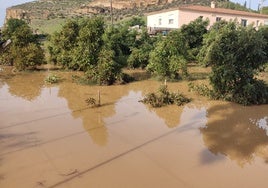 Una explotación agraria afectada por las lluvias de hace cuatro meses.