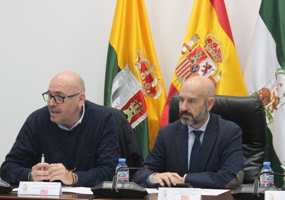 El alcalde de Cártama, Jorge Gallardo, junto al subdelegado del Gobierno en Málaga, Javier Salas en la Junta de Seguridad Local.