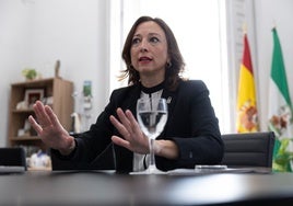 Navarro, en su despacho de la Delegación del Gobierno de la Junta.