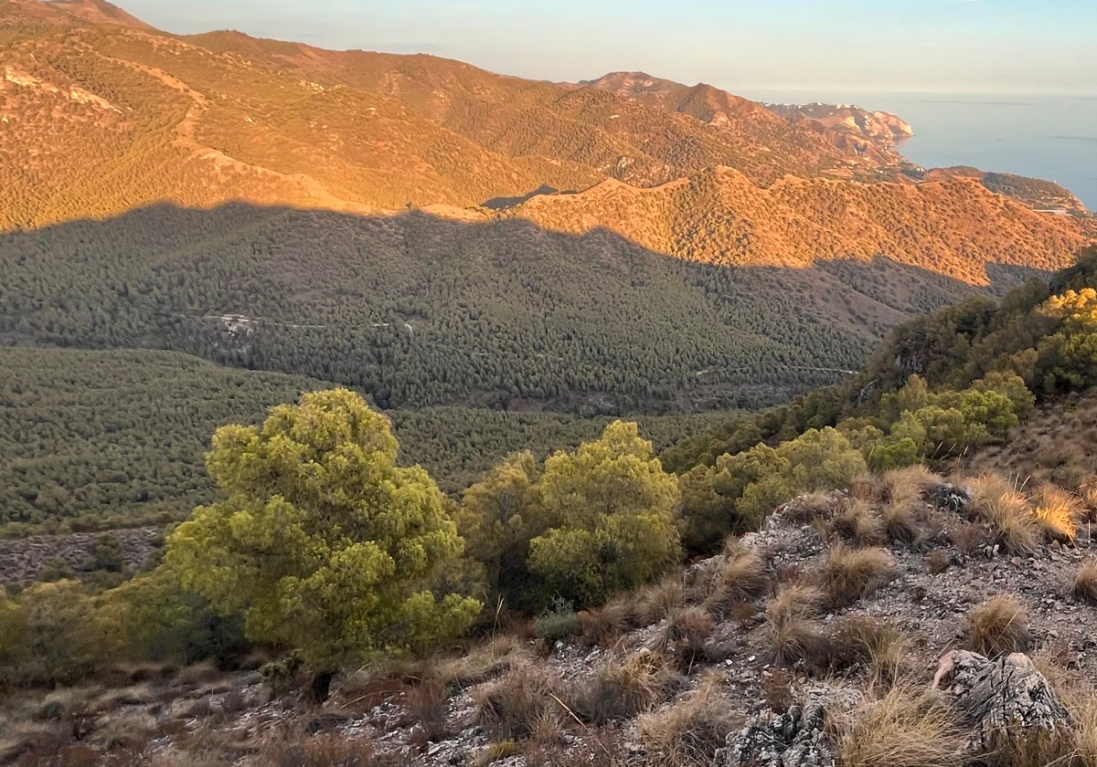 Imagen de los terrenos donde se ha previsto el desarrollo urbanístico en Nerja.