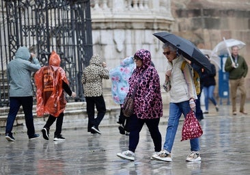 Meteorología activa un nuevo aviso por lluvias fuertes mañana en Málaga