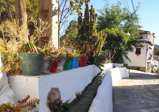 Agua. La Acequia Benito es elemento que proporciona la banda sonora a las calles de Montecorto.