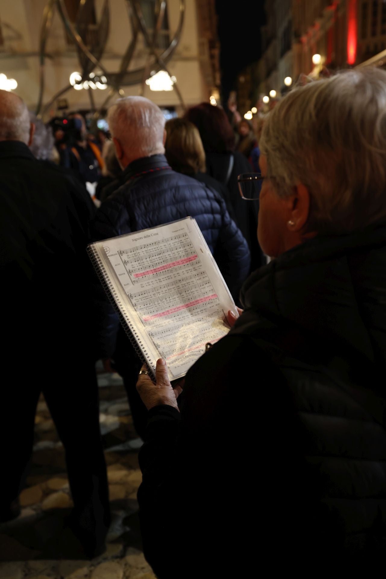 El vía crucis de la Agrupación de Cofradías de Málaga, en imágenes