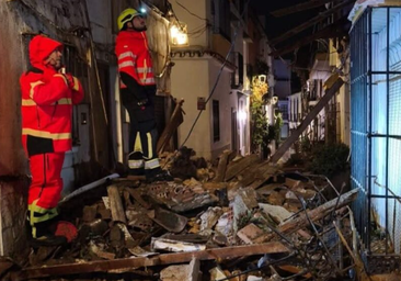 Caídas de árboles y desprendimientos por las lluvias en Marbella