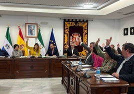 Pleno del Ayuntamiento de Mijas.