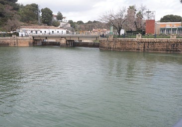 Alerta hoy en Málaga por la borrasca Konrad: así llegan los cauces, pantanos y desembalses