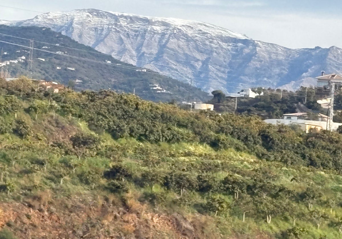 Imagen de la cima de la provincia, La Maroma, captada desde Algarrobo, este miércoles.