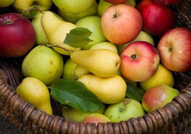 Al menos un 45% de las frutas y hortalizas de los comedores escolares deberán ser de temporada