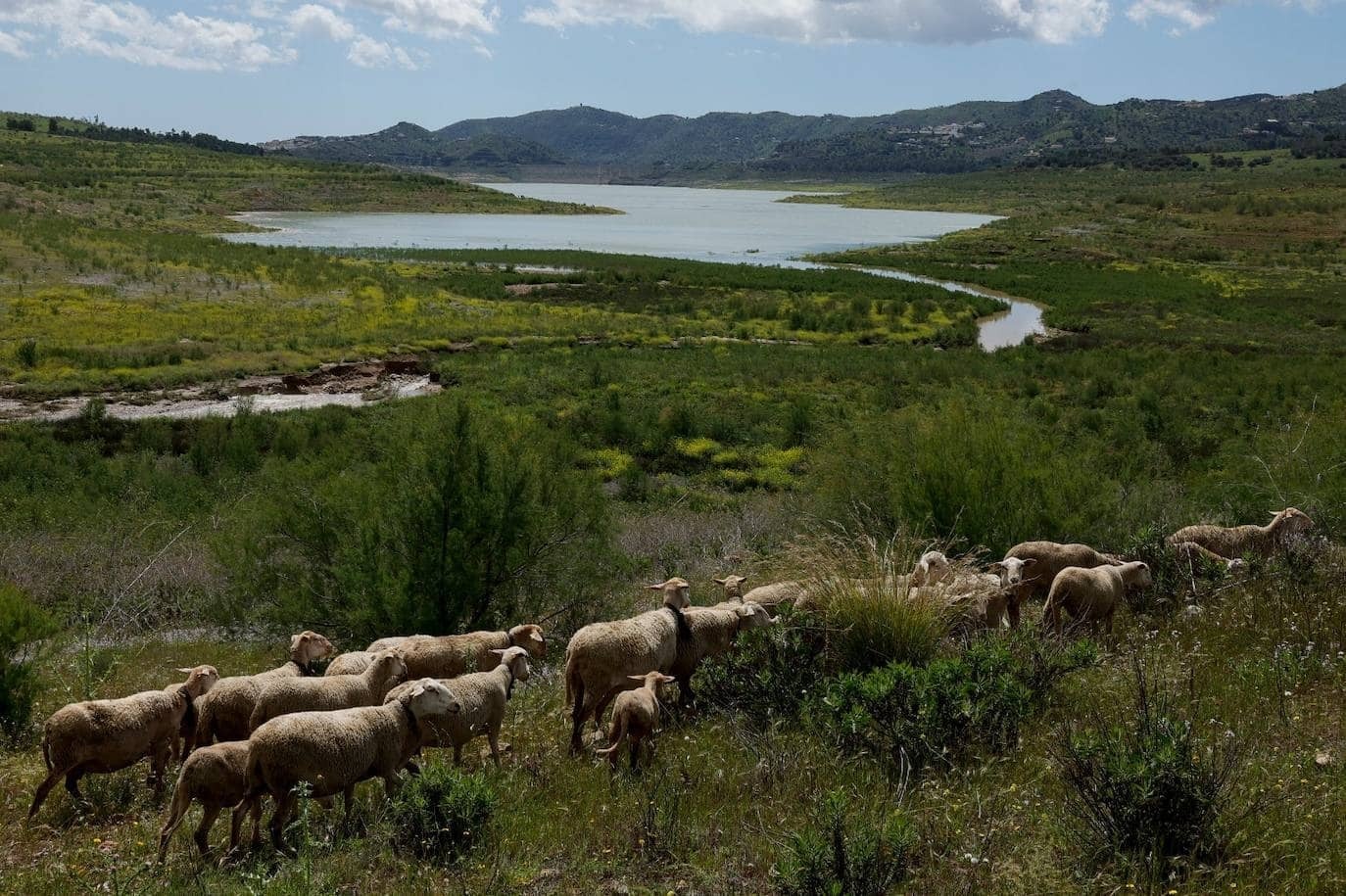 Estado de los embalses en Andalucía el jueves, 20 de marzo de 2025