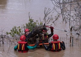 Varias personas con sus mascotas son rescatadas en Cártama por la crecida del Guadalhorce