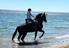 Participante en la ruta ecuestre por la playa.