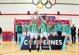 Los jugadores del Fundación Aro Real Betis celebran la victoria.