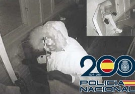 Imagen captada por una de las cámaras de seguridad del presunto ladrón.