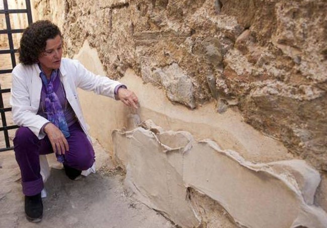 La arqueóloga Fanny de Carranza muestra uno de los zócalos de exterior mallados para evitar su deterioro, en una imagen de archivo.