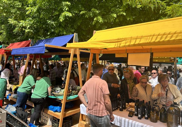 Un momento de la edición de 2024 de la Feria del Espárrago.