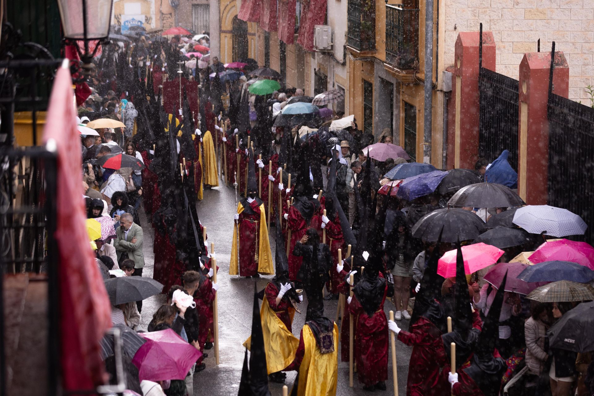 Tristeza entre los hermanos de Rescate bajo la lluvia