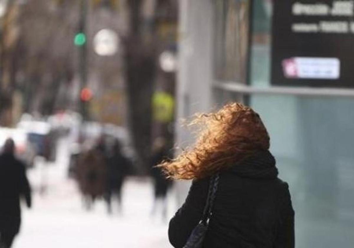 Avisos amarillos en Andalucía para el sábado y domingo por viento y olas: las zonas afectadas