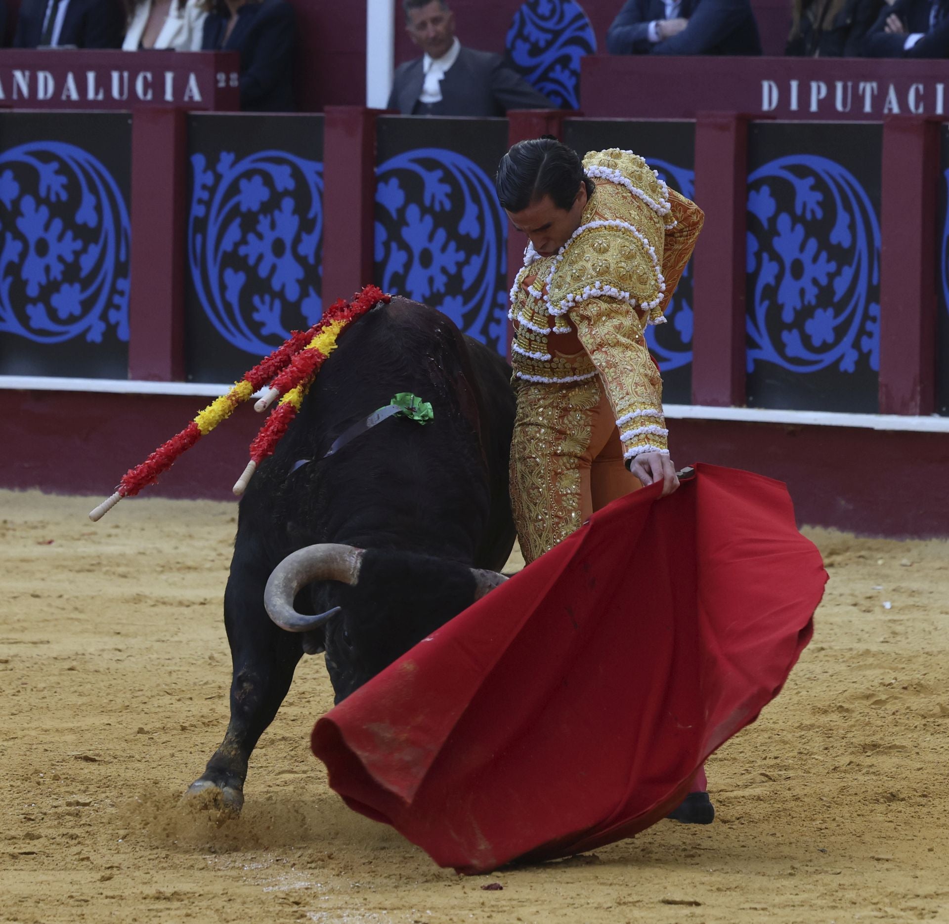 Las mejores fotos de la Corrida Picassiana 2025 en Málaga