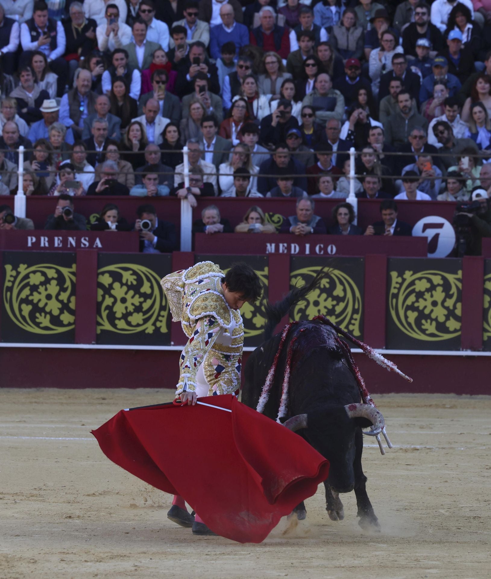 Las mejores fotos de la Corrida Picassiana 2025 en Málaga