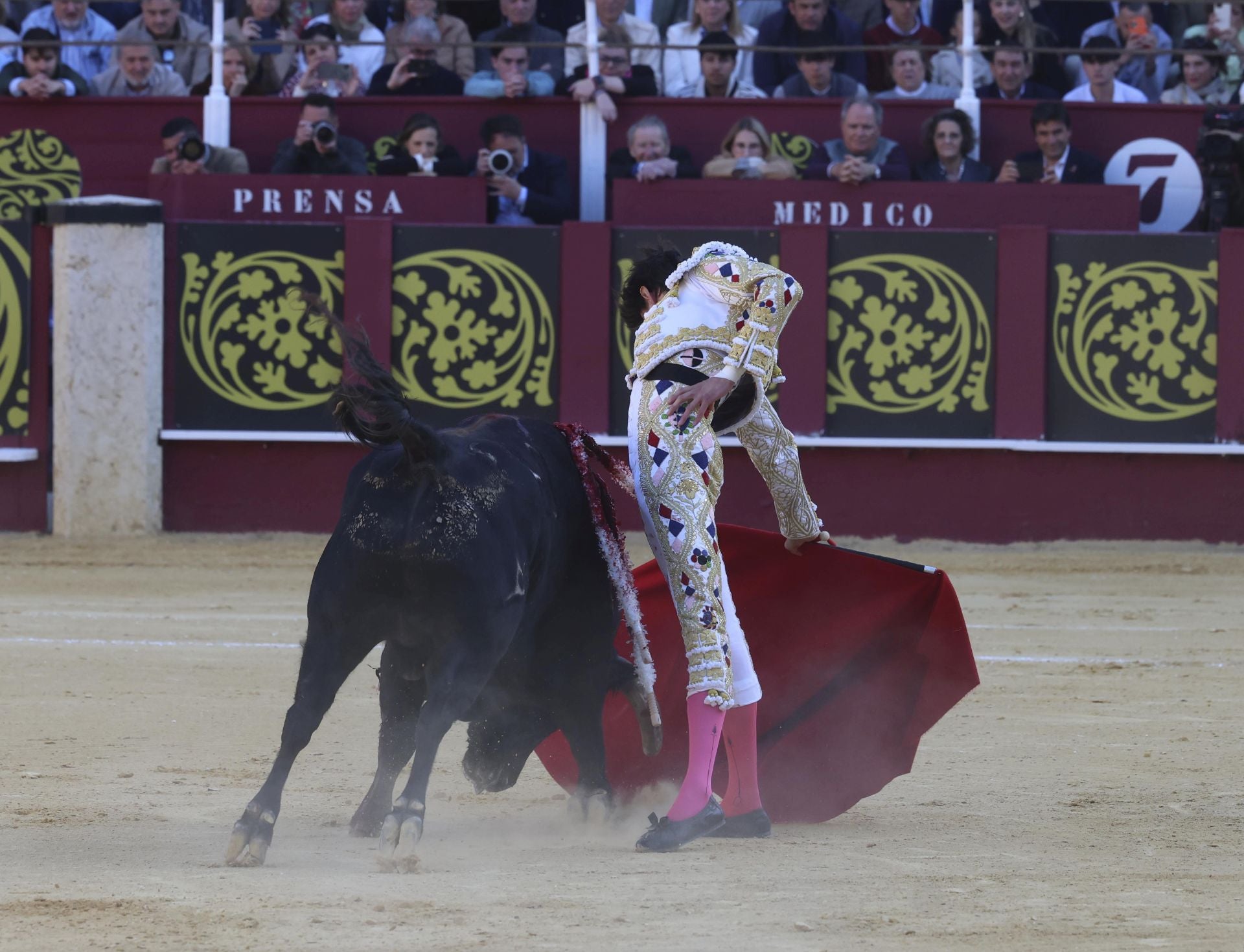 Las mejores fotos de la Corrida Picassiana 2025 en Málaga