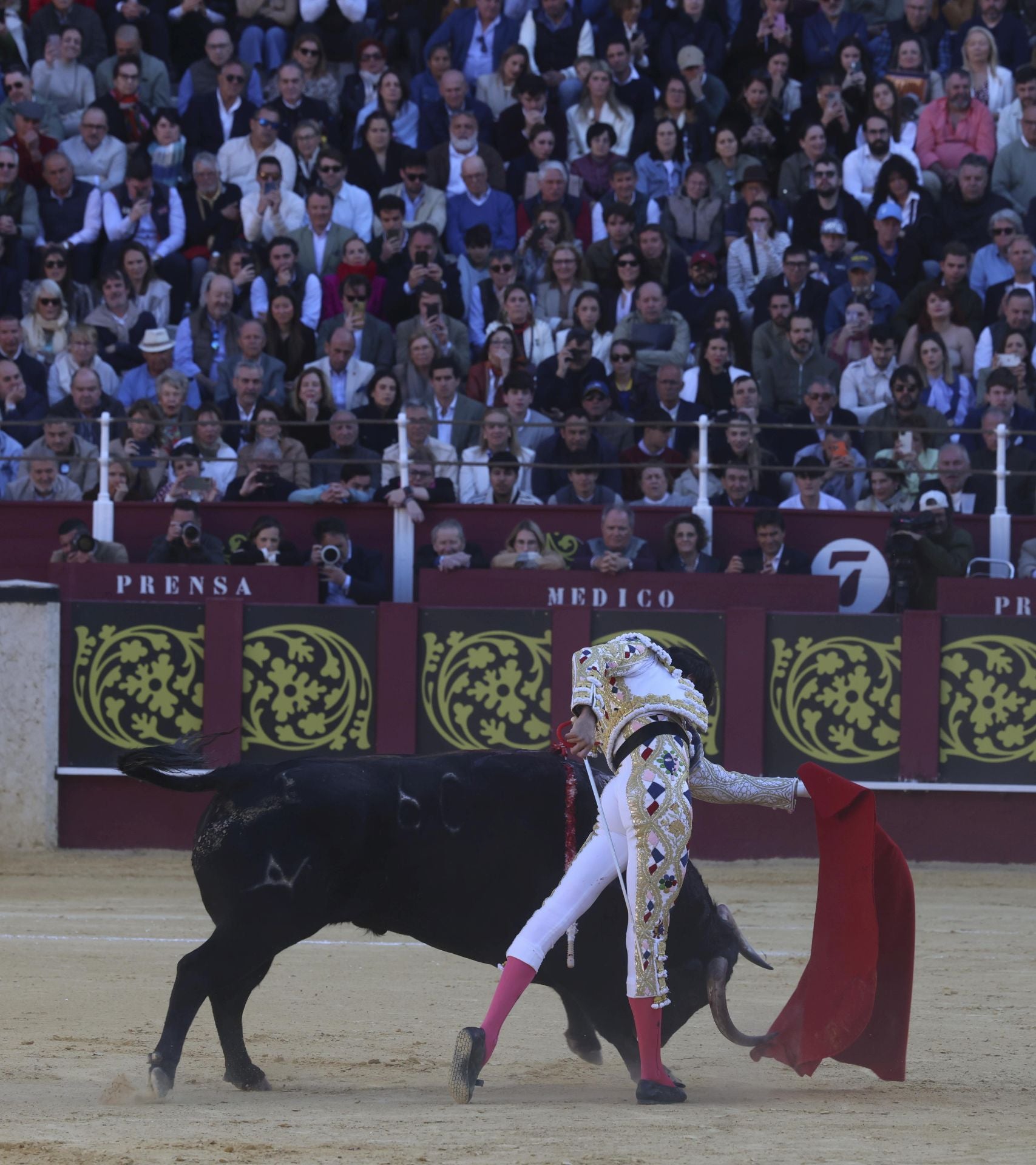 Las mejores fotos de la Corrida Picassiana 2025 en Málaga