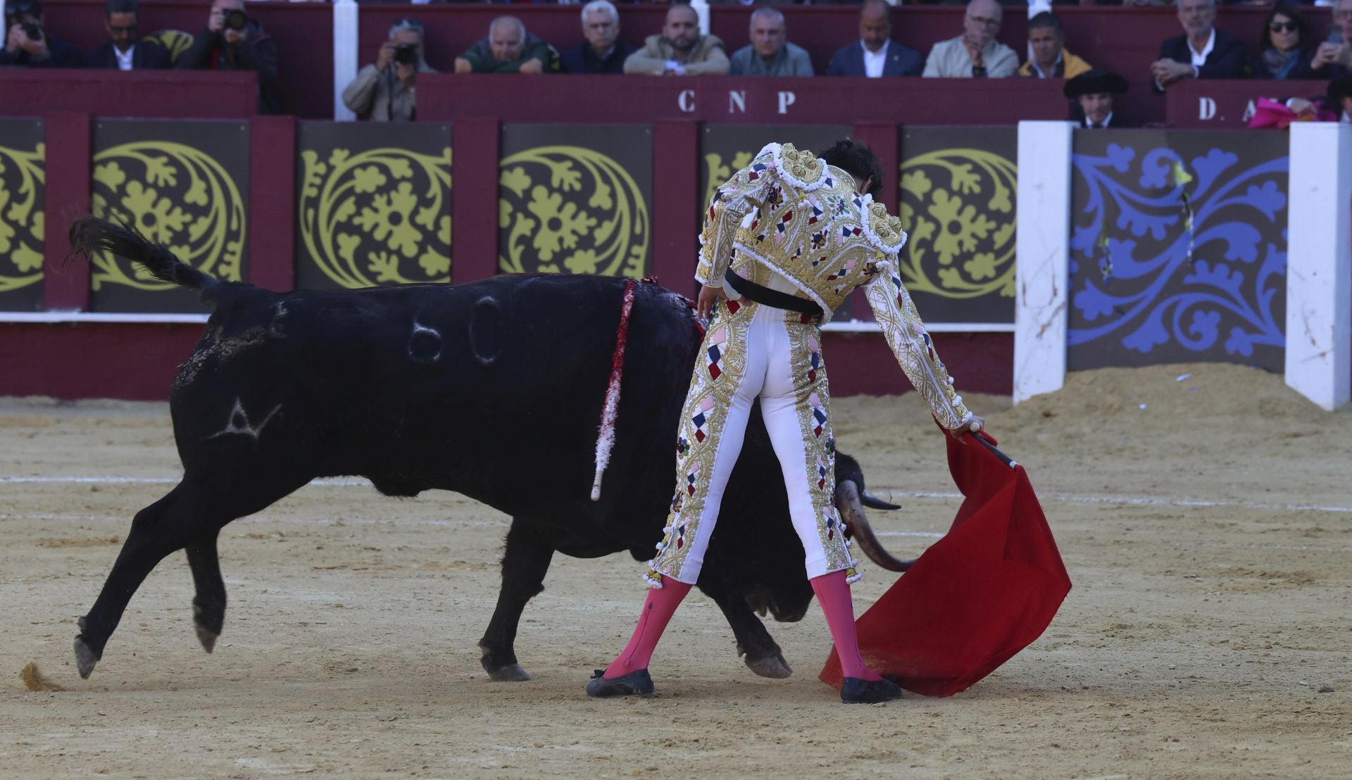 Las mejores fotos de la Corrida Picassiana 2025 en Málaga