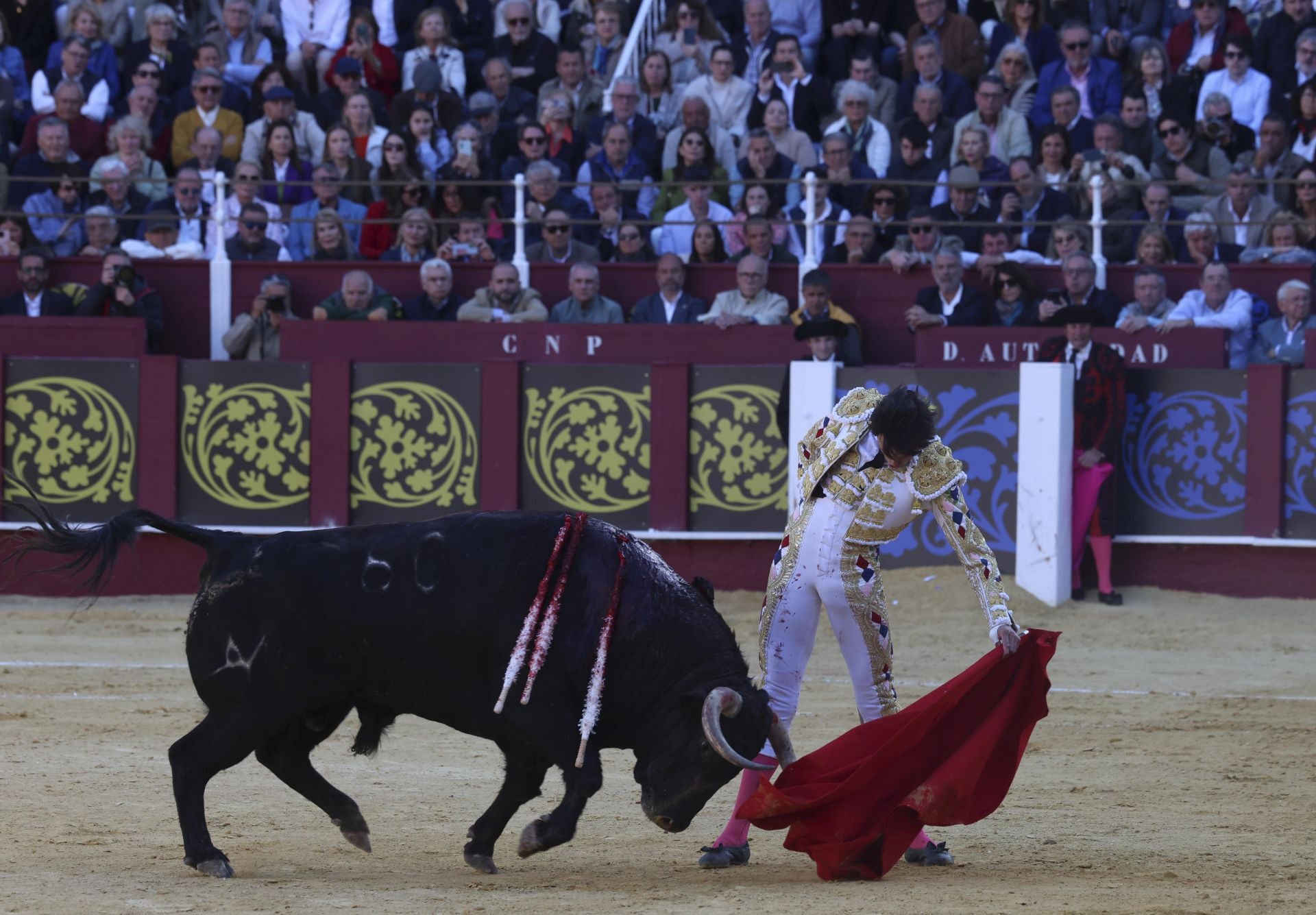 Las mejores fotos de la Corrida Picassiana 2025 en Málaga