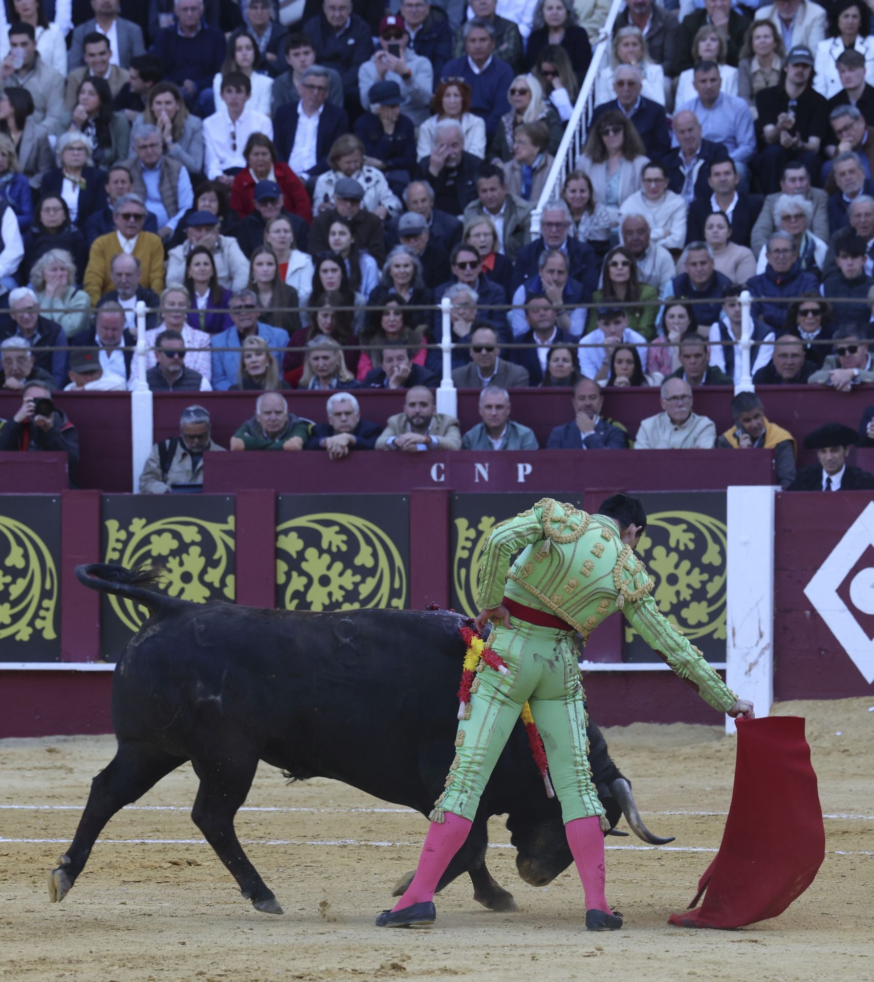 Las mejores fotos de la Corrida Picassiana 2025 en Málaga