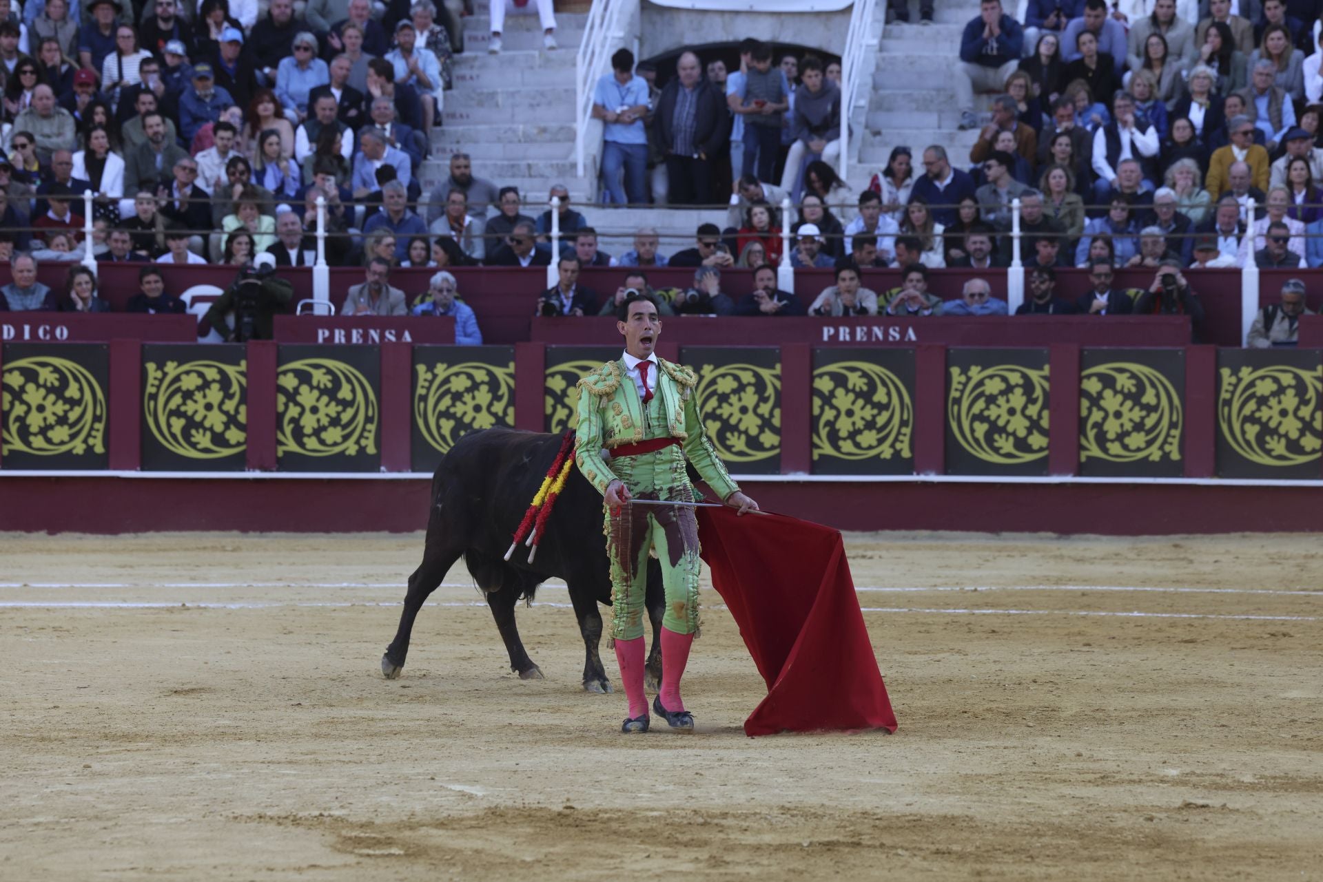Las mejores fotos de la Corrida Picassiana 2025 en Málaga