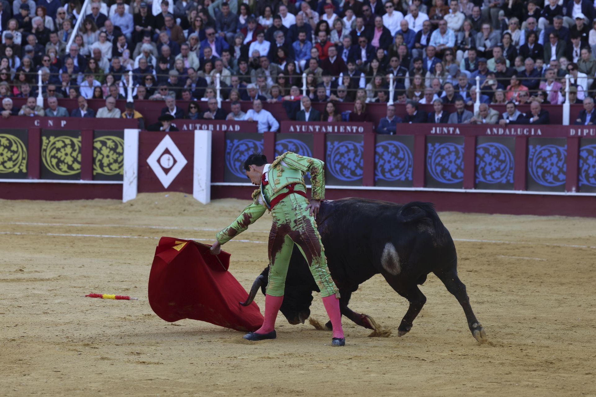Las mejores fotos de la Corrida Picassiana 2025 en Málaga