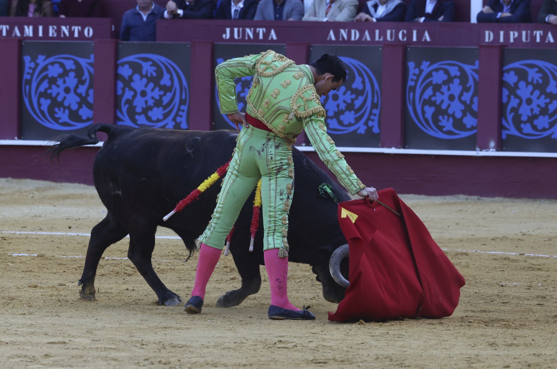 Las mejores fotos de la Corrida Picassiana 2025 en Málaga